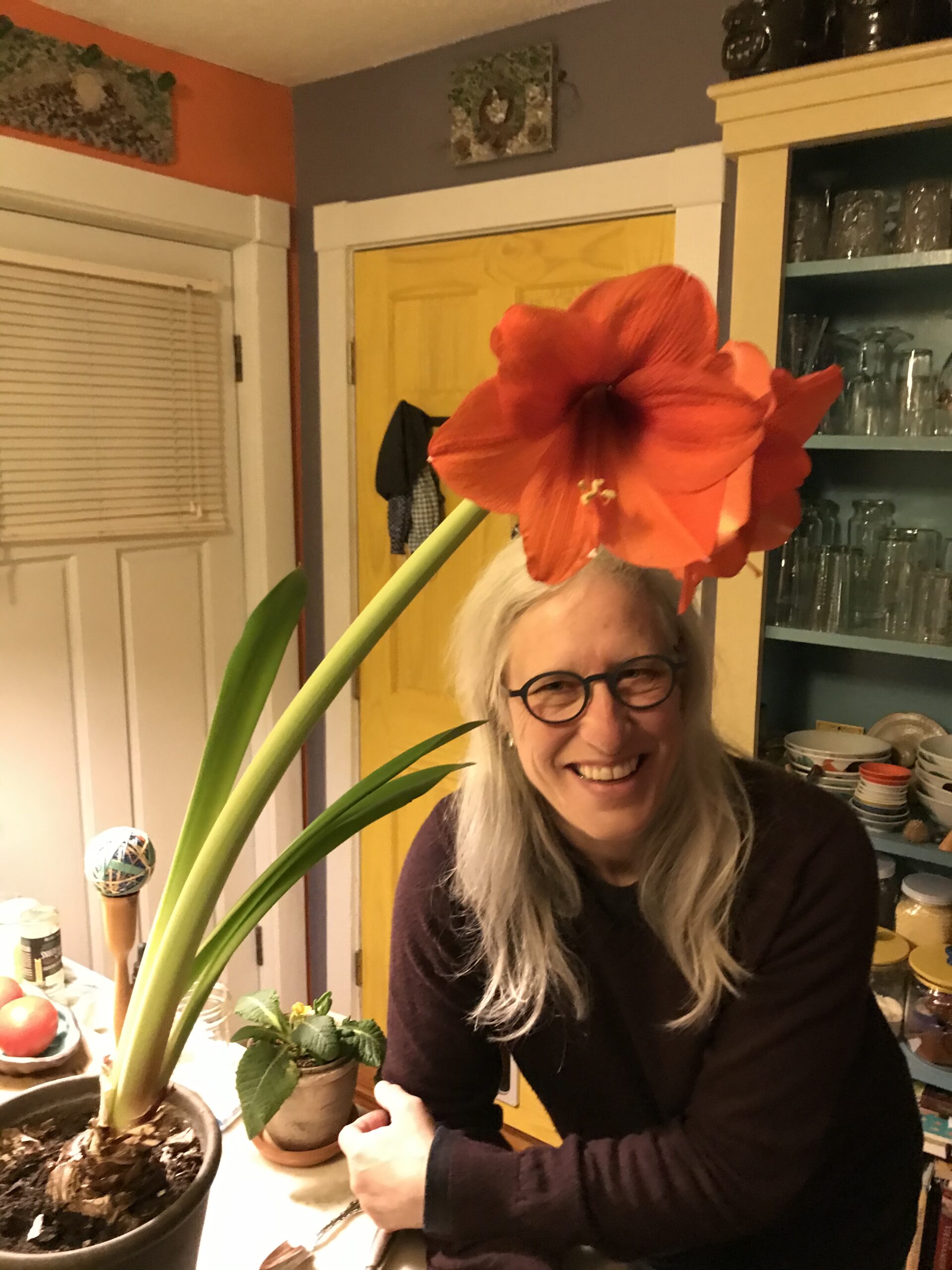 Jennifer image of Jennifer with an amaryllis